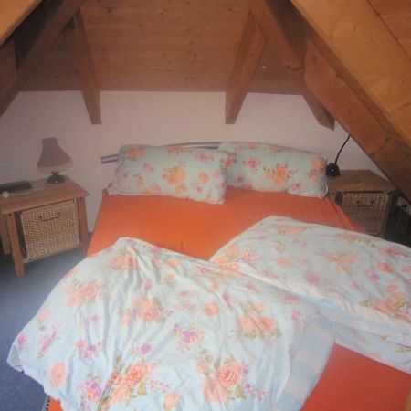 Studio Orchidee Weissig  Exteriör bild